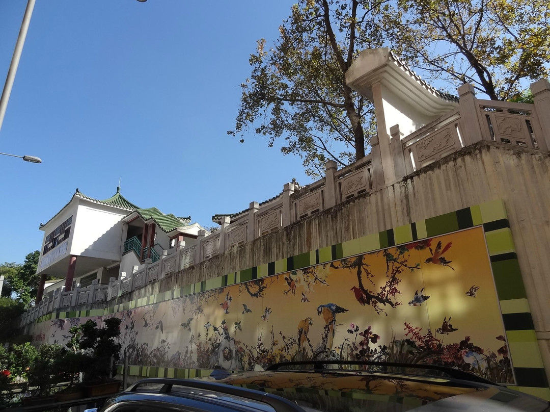 鸟市-香港必去景点