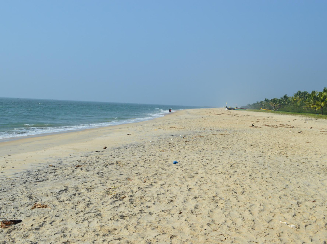 Mararikulam Beach-Mararikulam必去景点