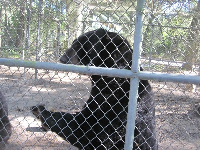 Endangered Animal Rescue Sanctuary-Citra必去景点