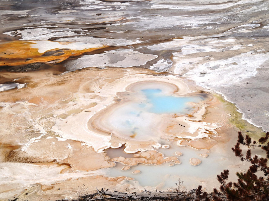 诺里斯间歇泉盆地-黄石国家公园必去景点