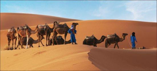 Quiet Merzouga Desert-Erg Chebbi必去景点