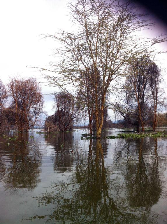 Lake Naivasha-Rift Valley Province必去景点