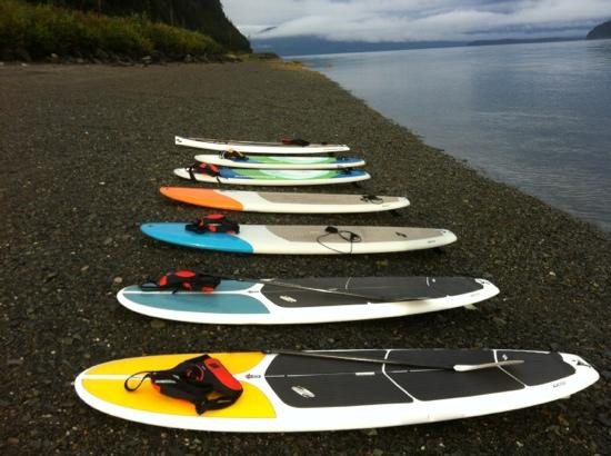 Blue Nose Surf Rentals-Douglas必去景点