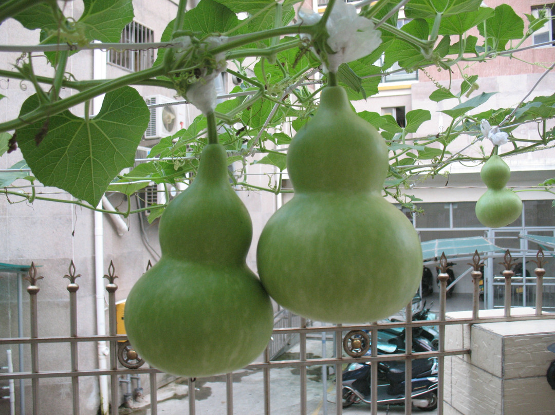 东山诚捷酒店公寓主图