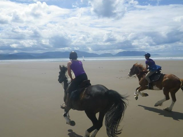 Dingle Horse Riding景点图片