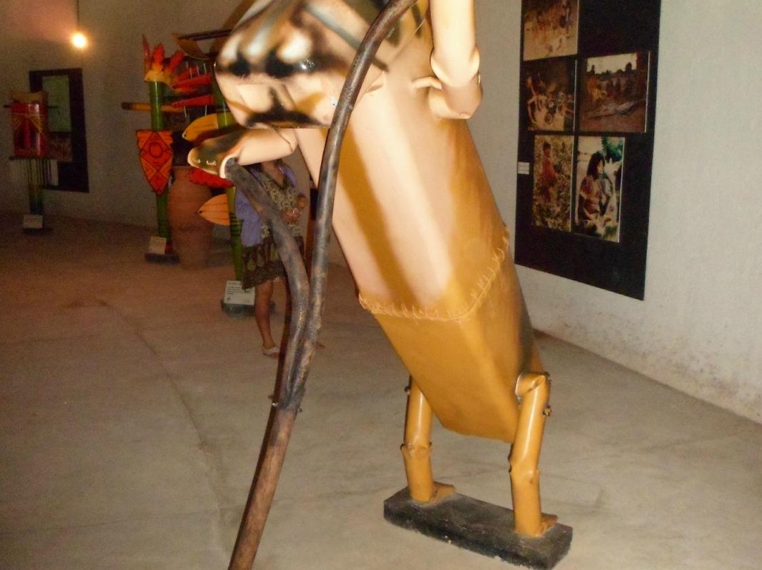 Museu Indigena Da Aldeia Pataxo景点图片
