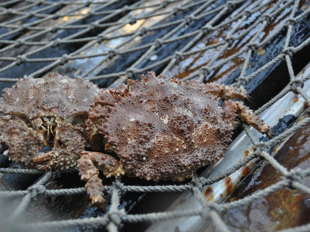 Bering Sea Crab Fishermen's Tour-凯奇坎必去景点