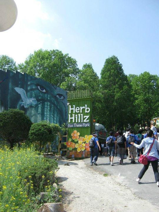 Hill Crest-大邱必去景点