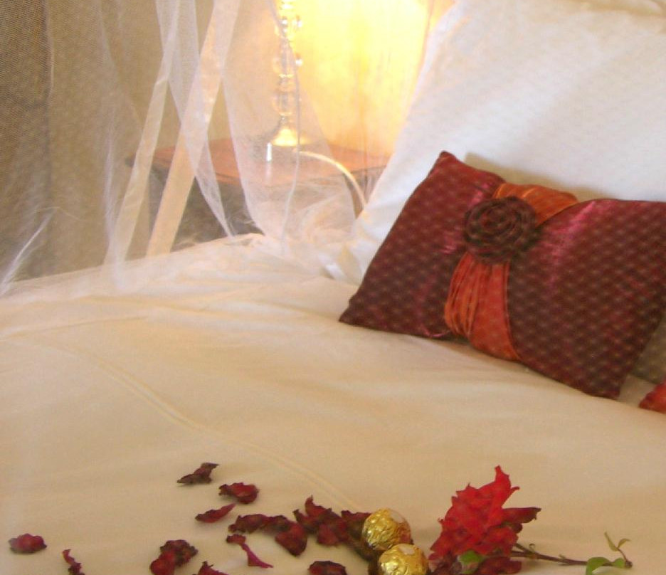 Reed's Country Lodge主图