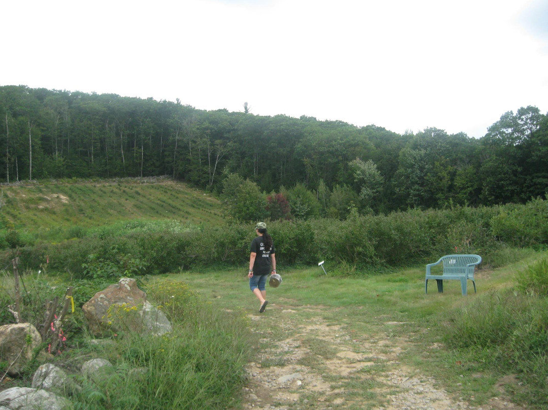 Monadnock Berries景点图片