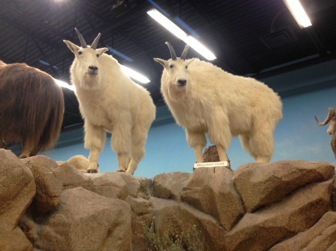 Rosenbruch World Wildlife Museum-圣乔治必去景点