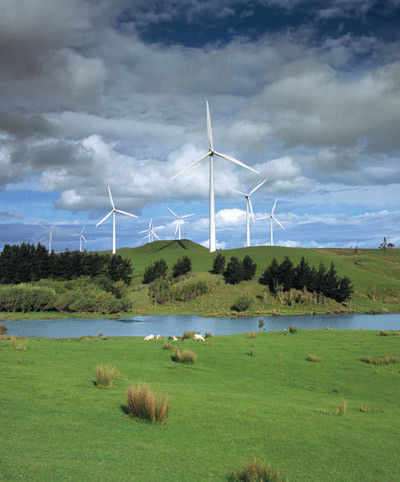 Tararua Tiki Tours Day Tours景点图片