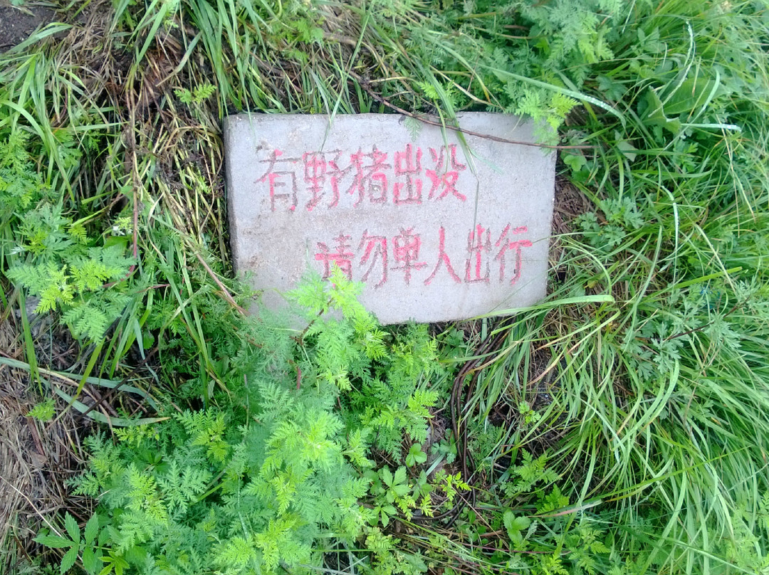 天生桥国家地质公园-阜平县必去景点