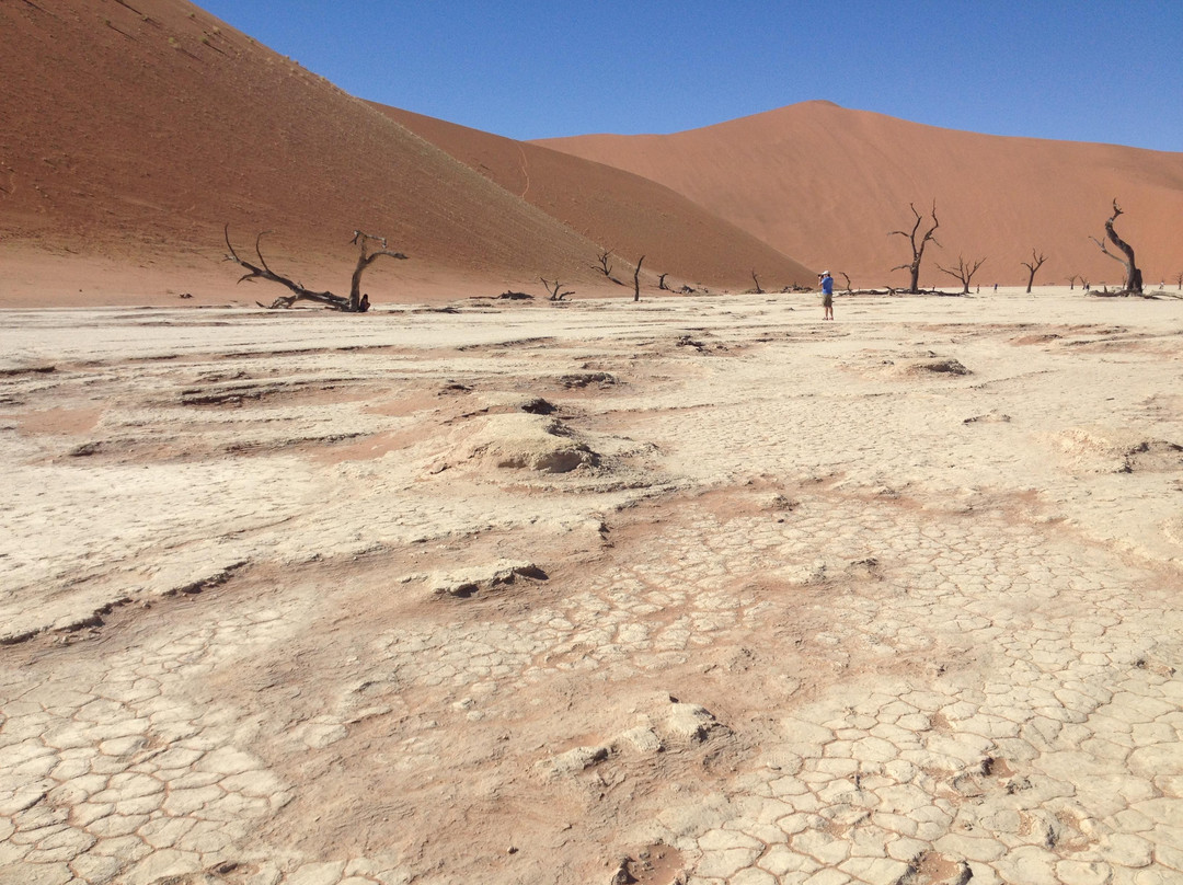 Deadvlei-苏丝斯黎必去景点