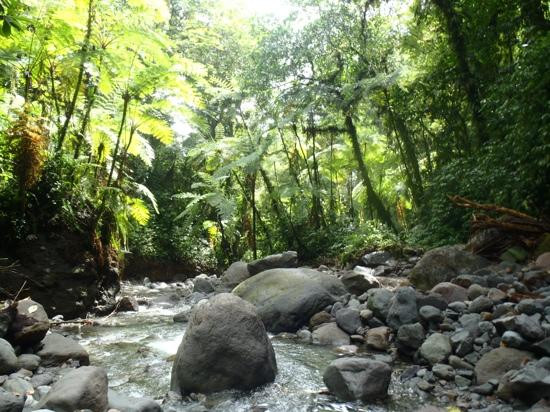 Les Gorges de la Falaise-马提尼克必去景点