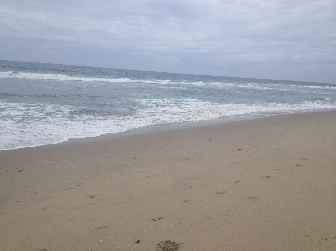 纽波特海滩-纽波特海滩必去景点