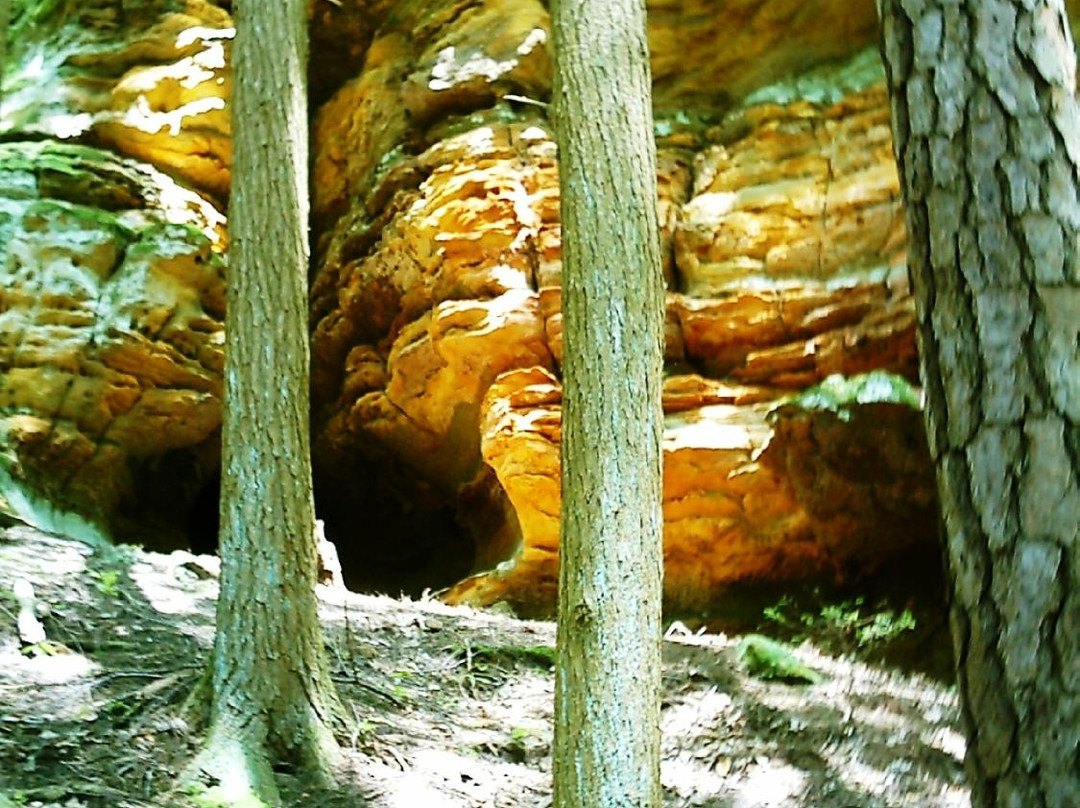 Blue Moon Acres-Laurelville必去景点