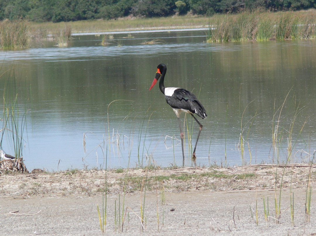 Maputo Special Reserve-马布多必去景点
