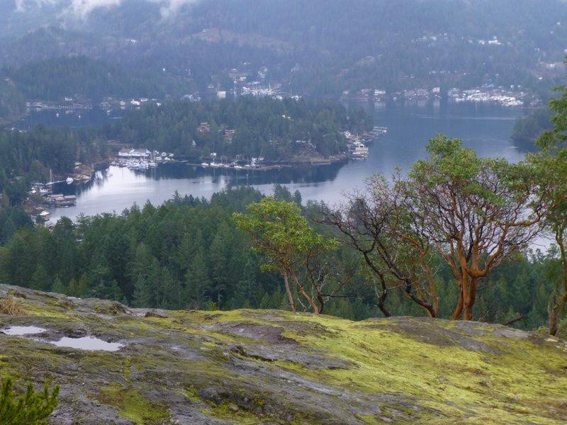 Pender Hill Park-马德拉公园镇必去景点