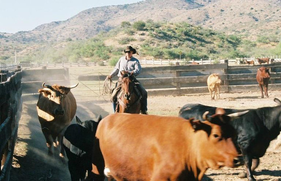 Gold Bar Ranch Bed & Breakfast主图