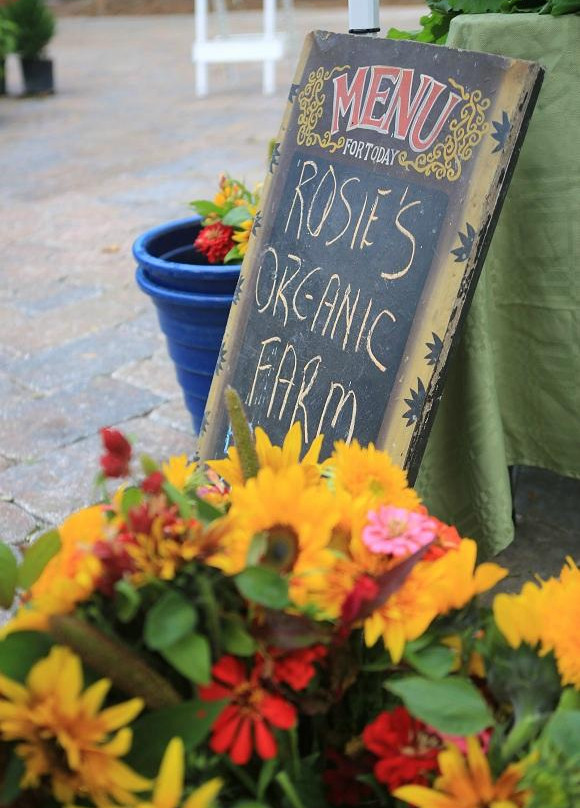 Fernandina Farmer's Market-费尔南迪纳岛必去景点