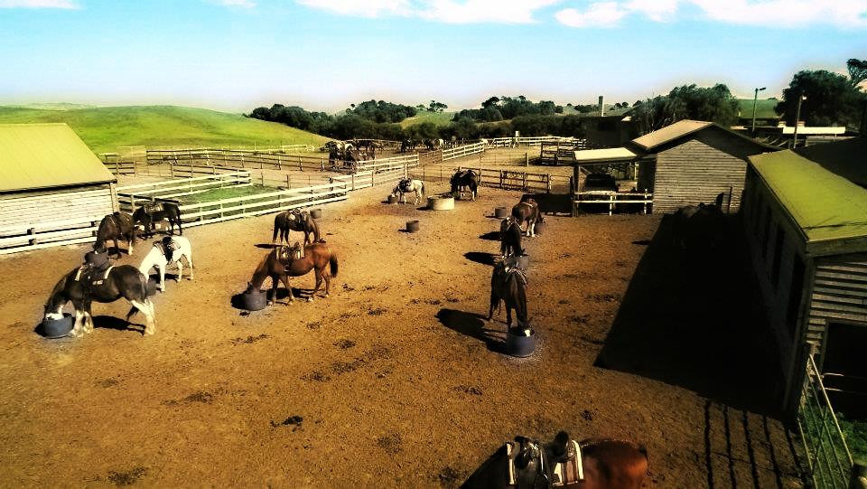 The Ranch Mornington Peninsula景点图片