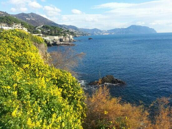 Passeggiata Anita Garibaldi a Nervi-热那亚必去景点