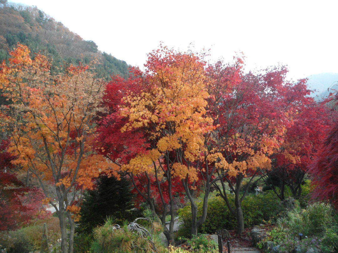 The Garden of Morning Calm-加平郡必去景点