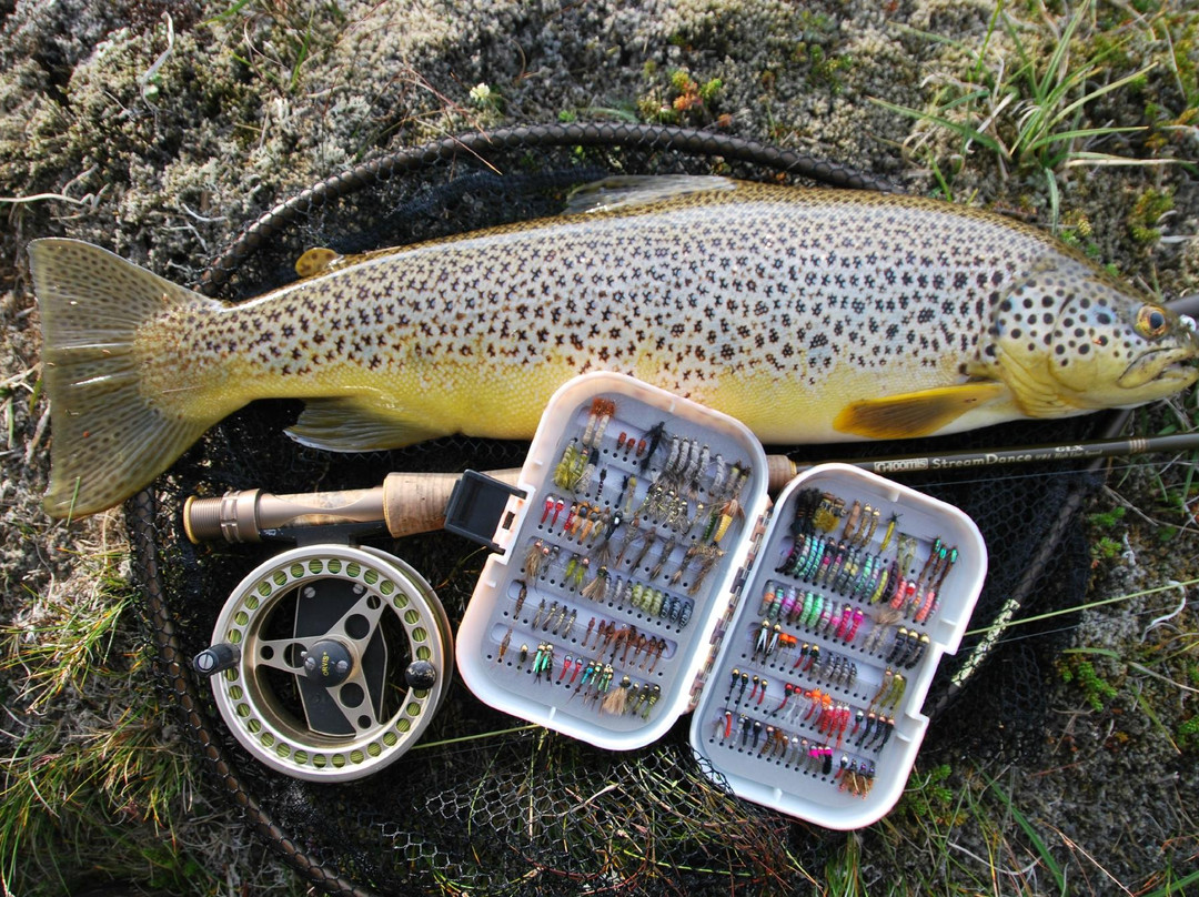 Go Fishing Iceland-科帕伏古必去景点