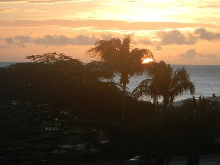 Links at Divi Aruba-奥腊涅斯塔德必去景点