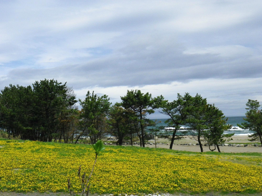 Tanesashi Coast景点图片
