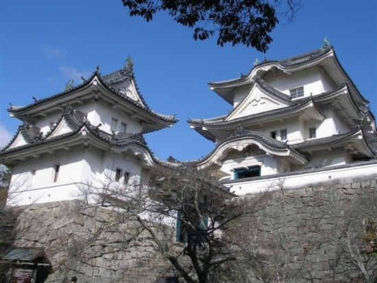 Iga Ueno Castle景点图片