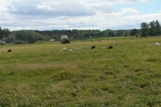 Formby Point-Formby必去景点