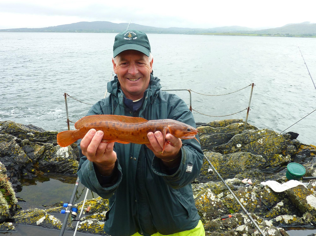 Dromagowlane House主图