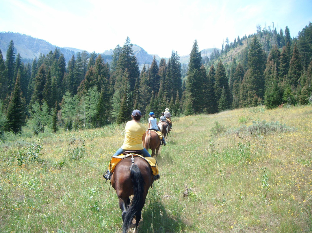 Jackson Hole Outfitters-Alpine必去景点