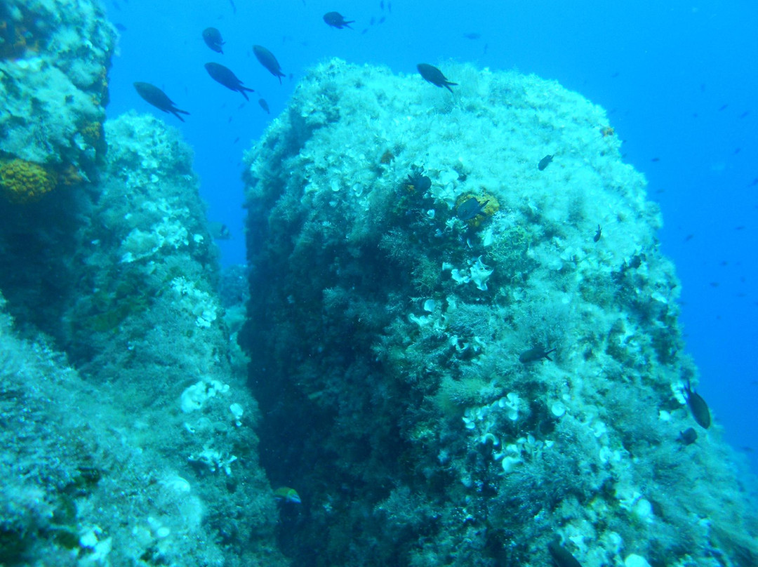 Scoglio di Formica景点图片