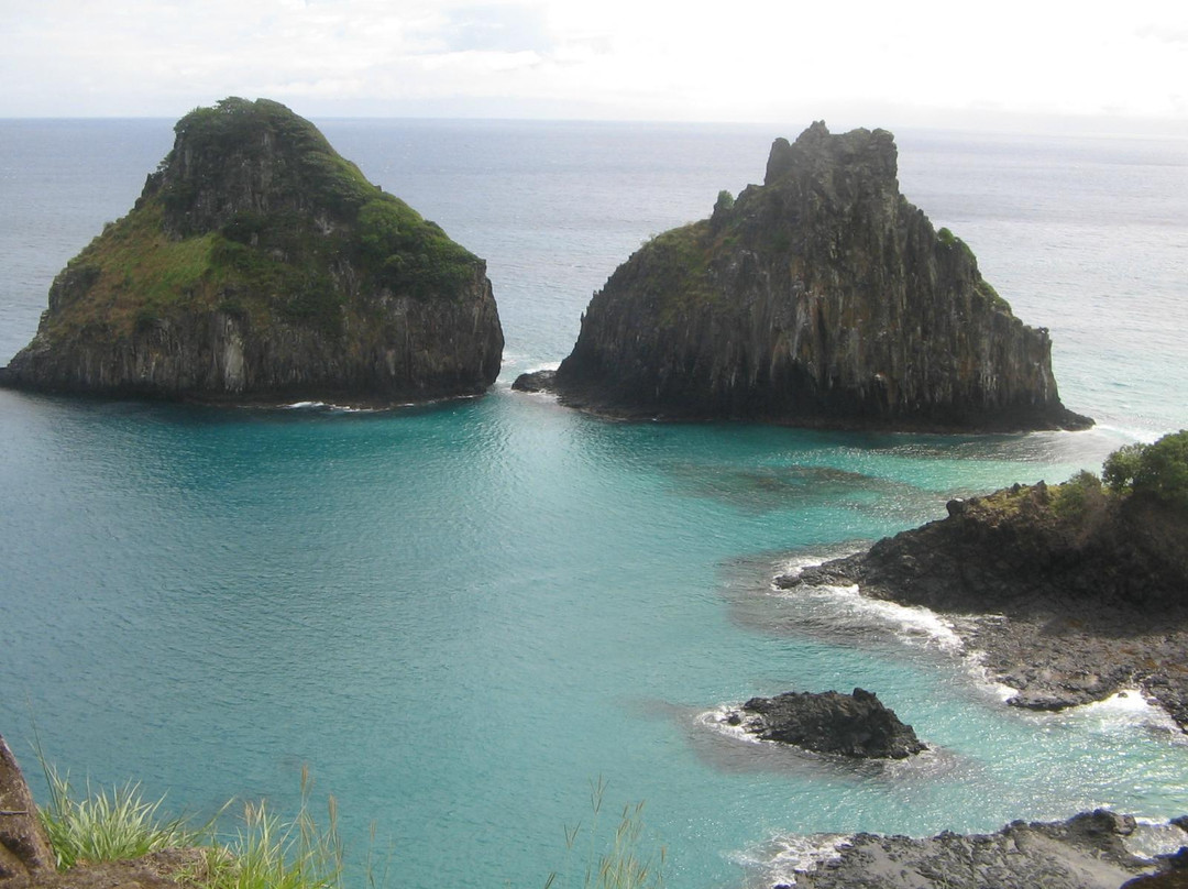 Baia dos Porcos-费尔南多-迪诺罗尼亚群岛必去景点