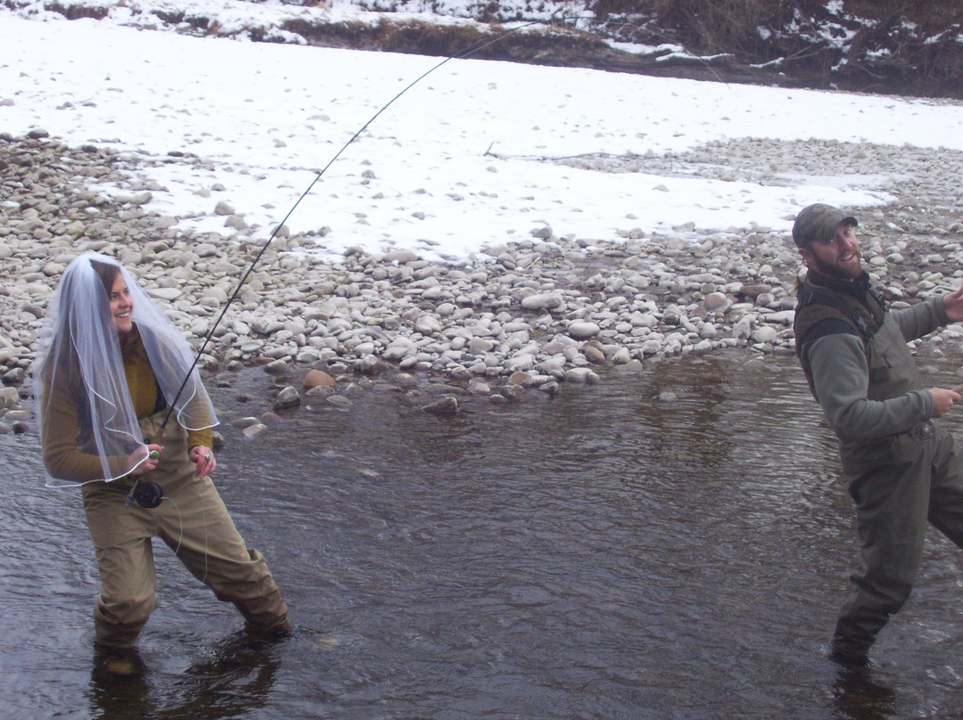 Forest Grove Bed and Breakfast主图