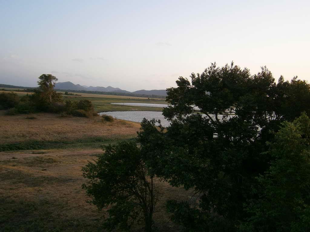 Minneriya National Park景点图片