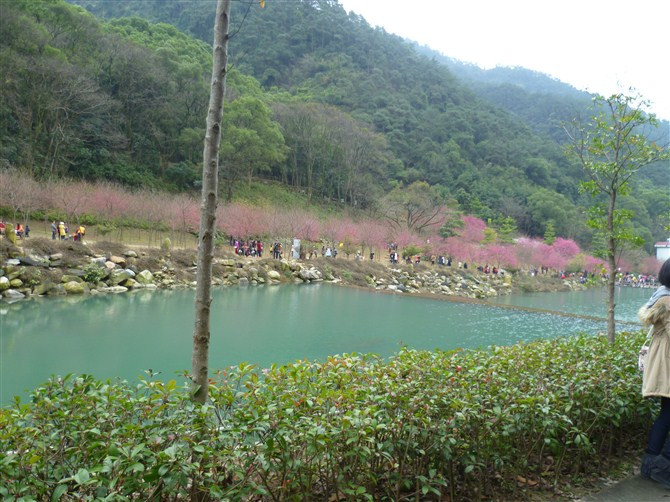 福州国家森林公园景点图片