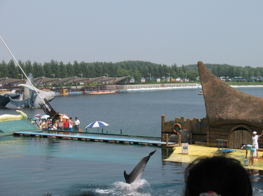 乐岛-秦皇岛市必去景点