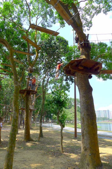Forest Adventure-新加坡必去景点
