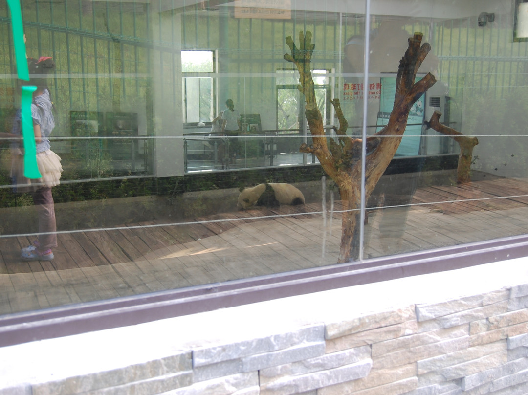 刘公岛-威海市必去景点