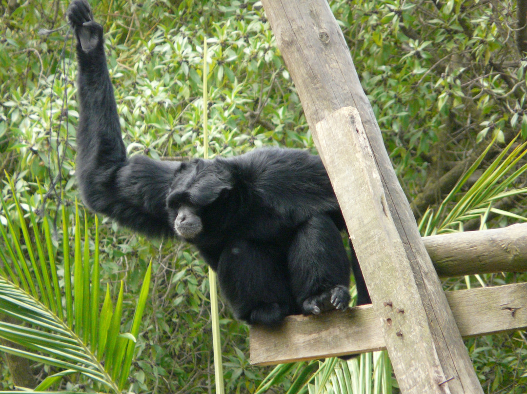 Parque Zoológico De Lagos景点图片