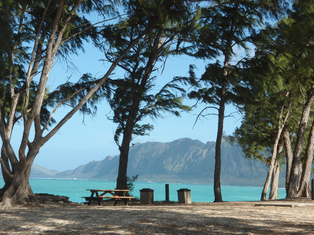 贝洛斯菲尔德海滩公园-威玛纳诺必去景点