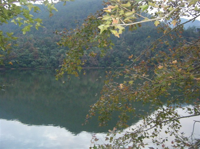 石门国家森林公园-从化市必去景点