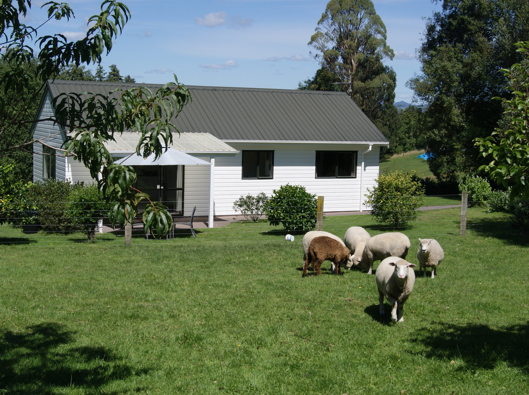 Broekhaven Country Cottage