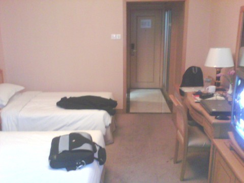 浙江赞成宾馆-客卧