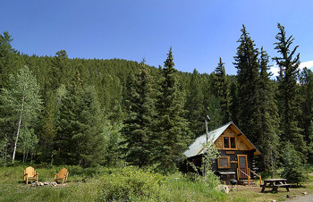 Pioneer Guest Cabins 小木屋