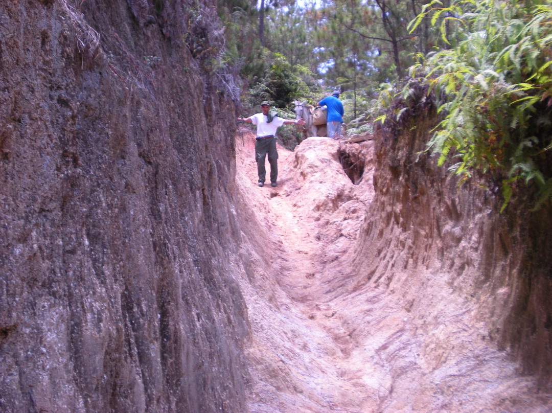 Pico Duarte-Jarabacoa必去景点